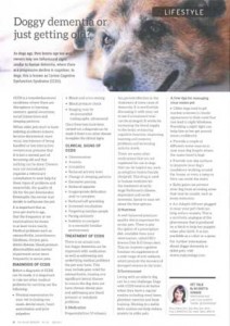 Dog Dementia Article
