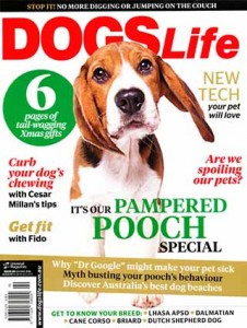 Spoiling Your Dog Article